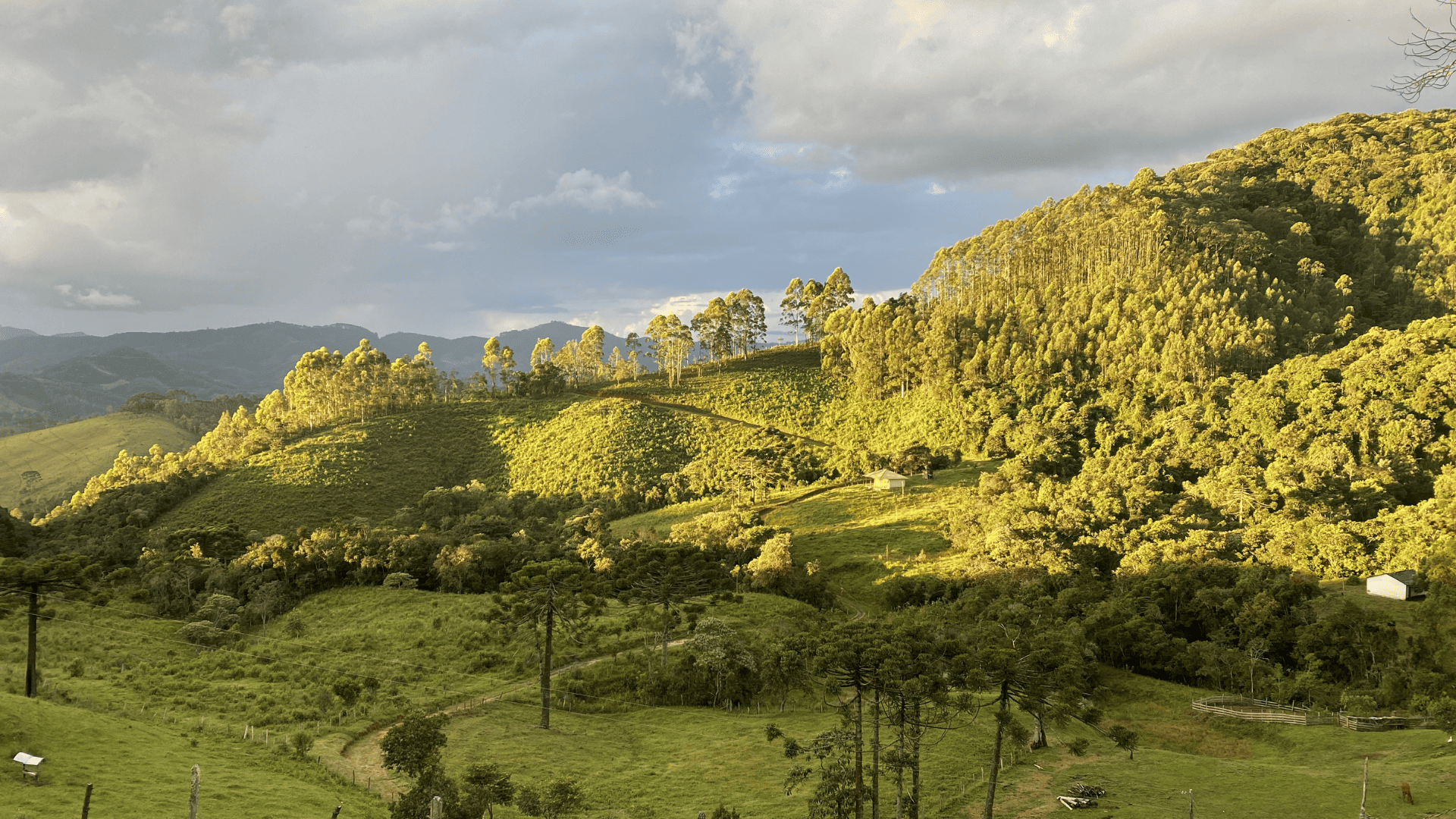 Guardiões das Águas da Mantiqueira — 5