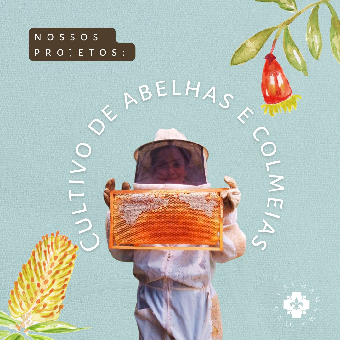 Projeto COLMEIAS em nossas comunidades — 1