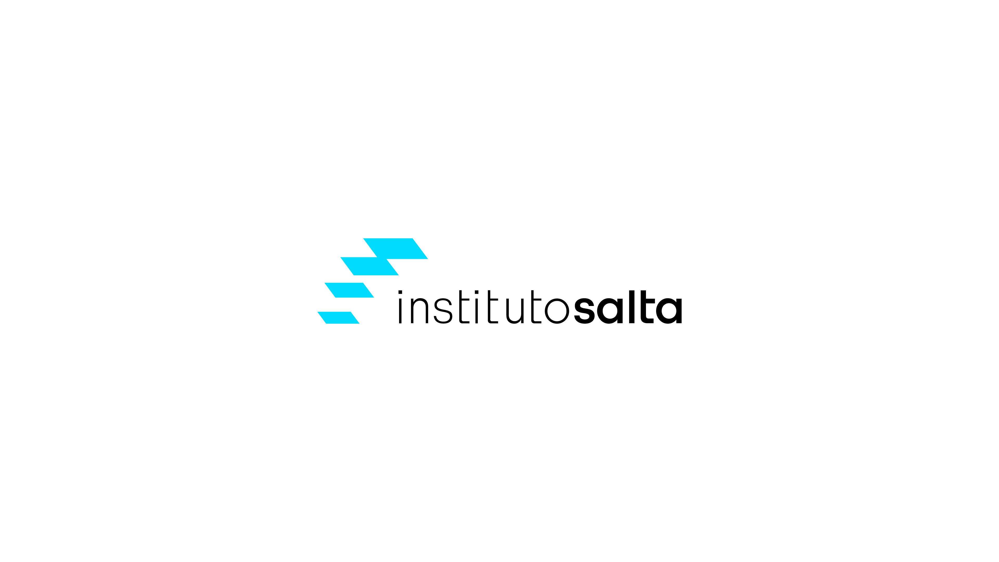 Instituto Salta logo