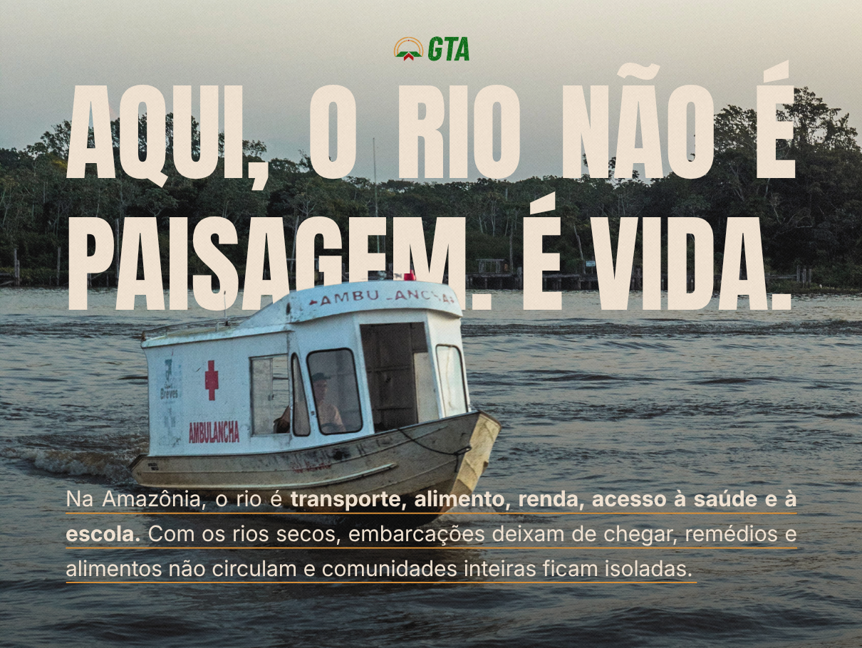 Ajude a combater o calor e a seca  na Amazônia  — 4