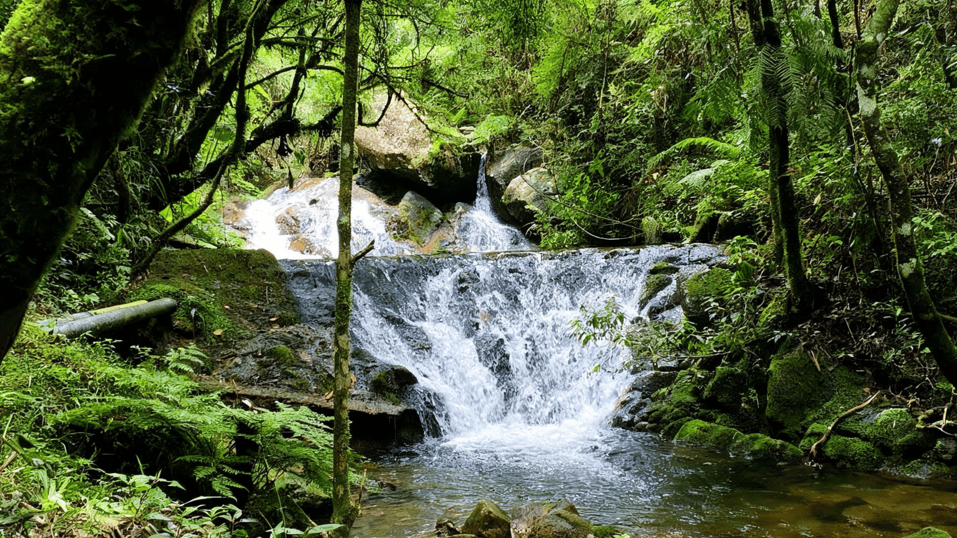 Guardiões das Águas da Mantiqueira — 6